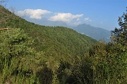 59 Vista sulla splendida abetaia di pini mughi ad alto fusto del Monte di Bracca
